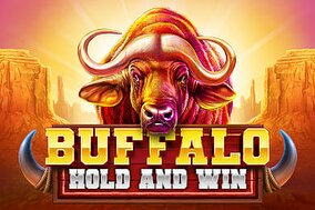 Buffalo Hold and Win